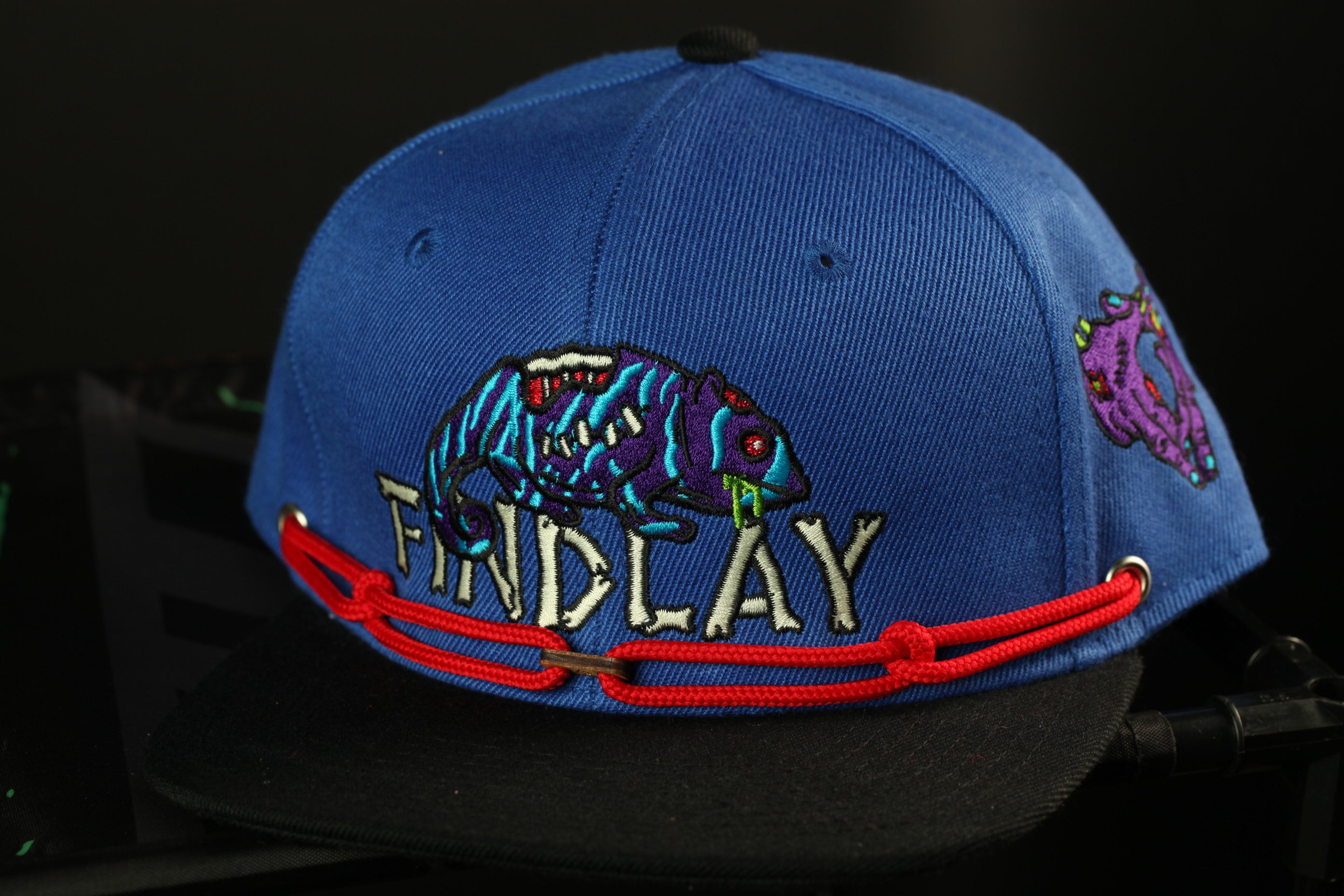 A blue baseball cap with a red string and a graphic of a fish on it.