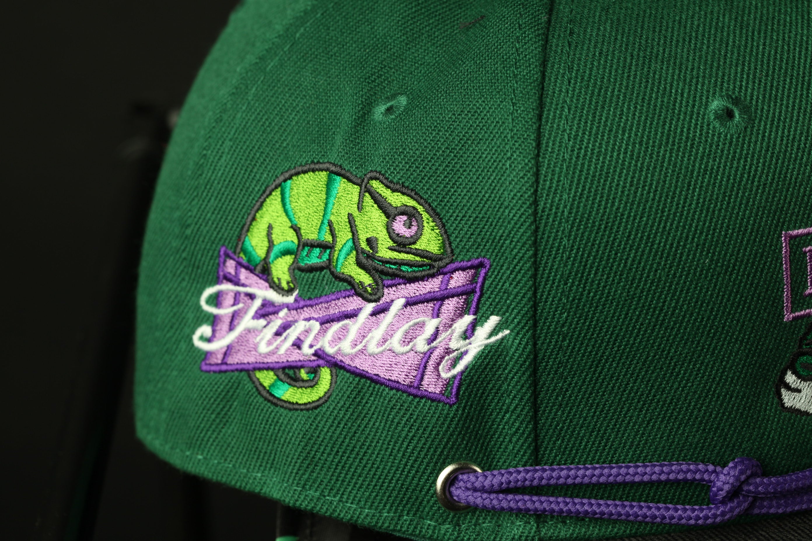 A close-up view of a green baseball cap with a purple and green chameleon design and the word "Findlay" embroidered on it.