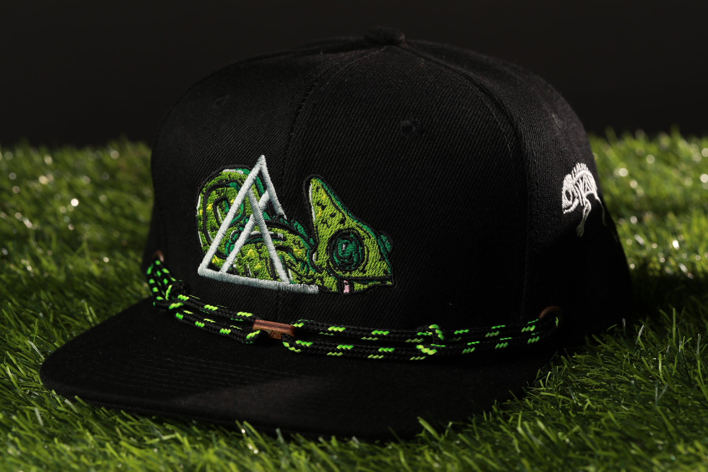 A black baseball cap with a green and white chameleon design on the front, sitting on a grassy surface.
