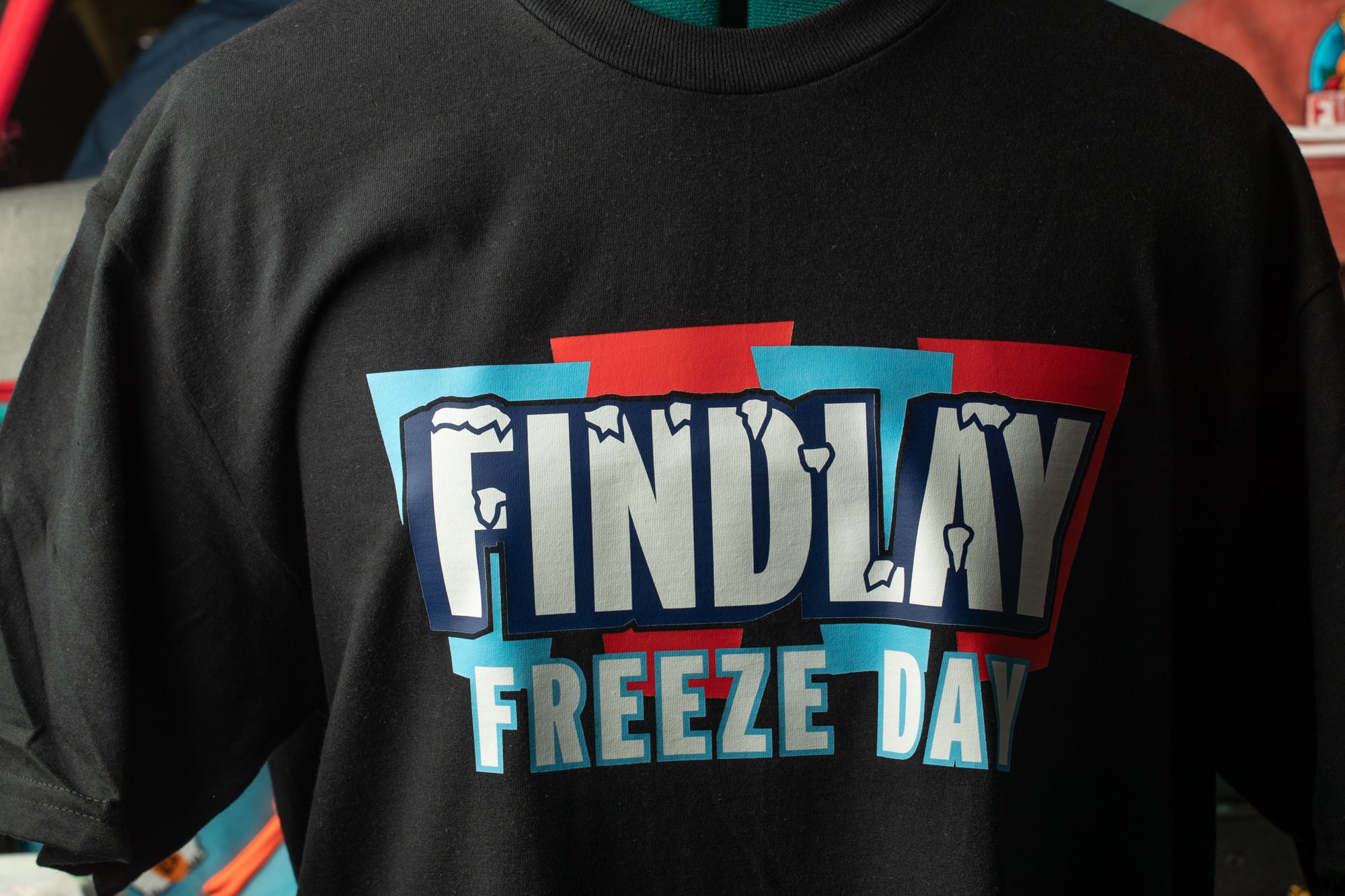 A black t-shirt with the text "FIND LAY FREEZE DAY" printed on it.