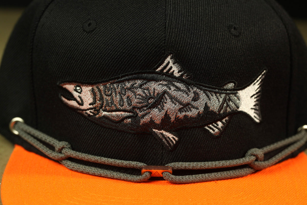 SilverFish