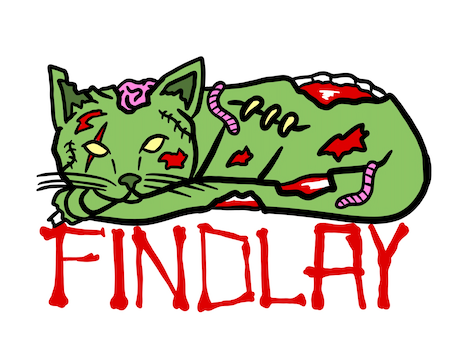 a drawing of a cat laying down with the word findlay