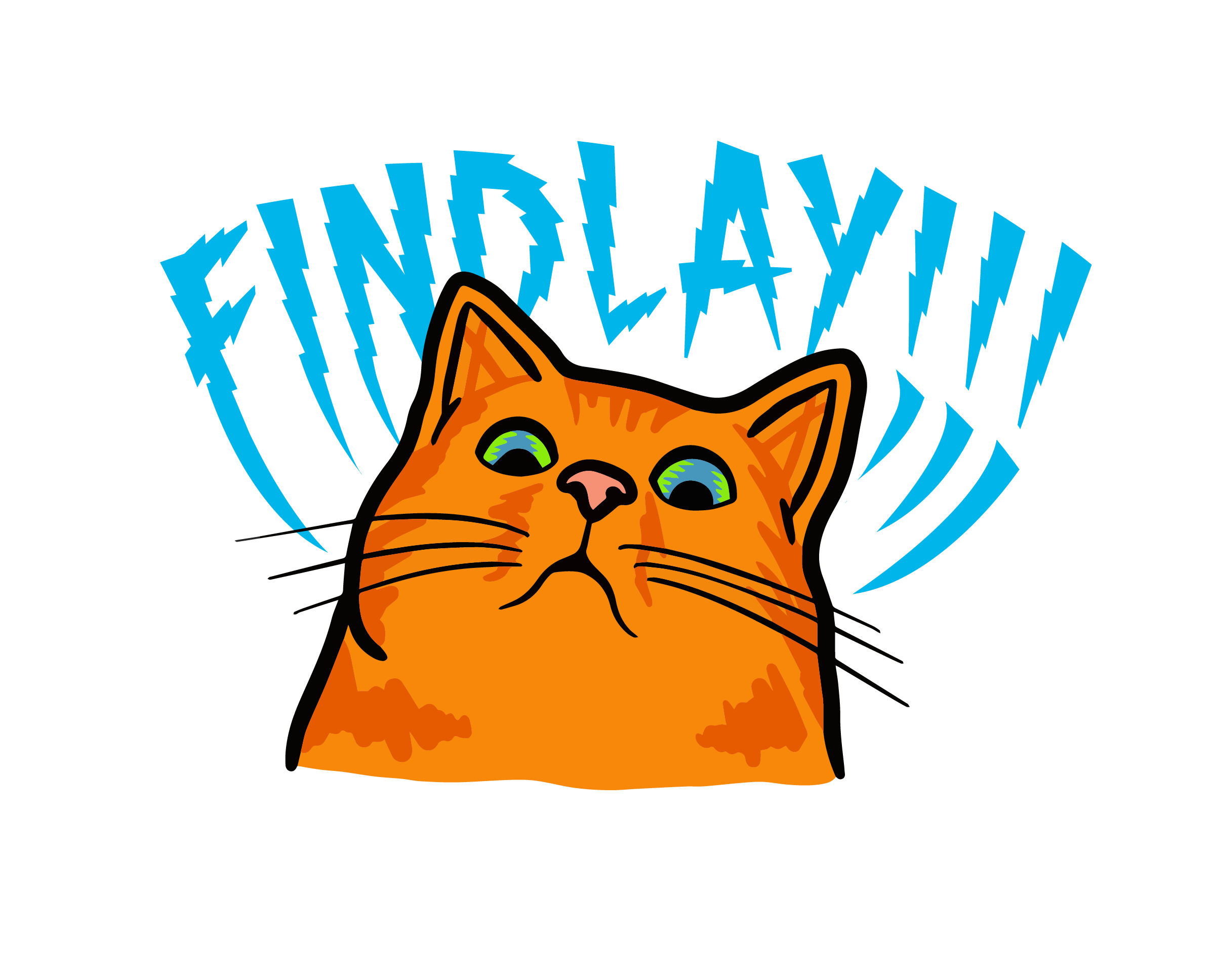 An orange cat with large eyes and a surprised expression, with the text "FIND LAY!!!" written in blue letters behind it.