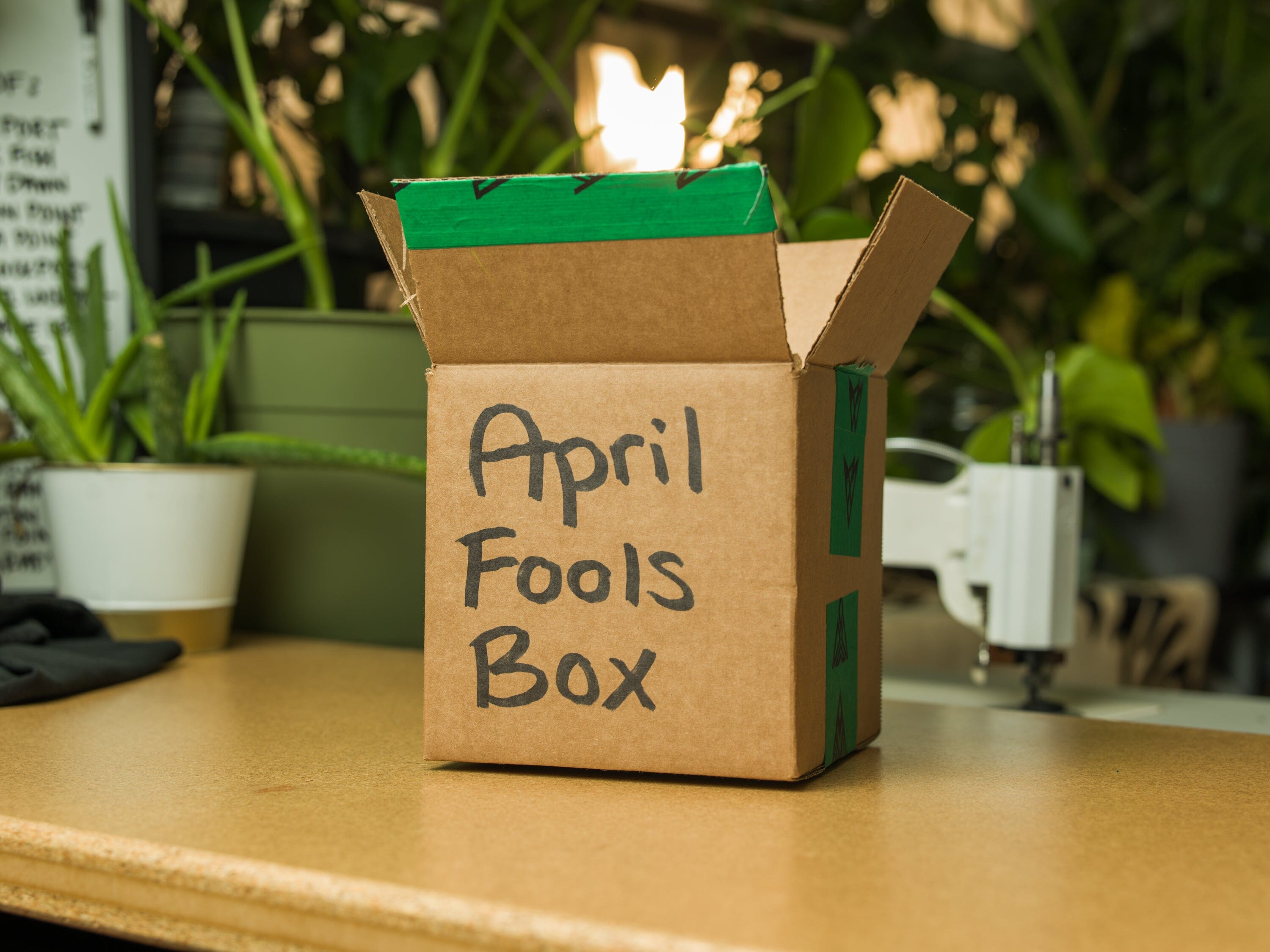 April Fools Mystery Black Box Limited Edition Hats Findlay Hats