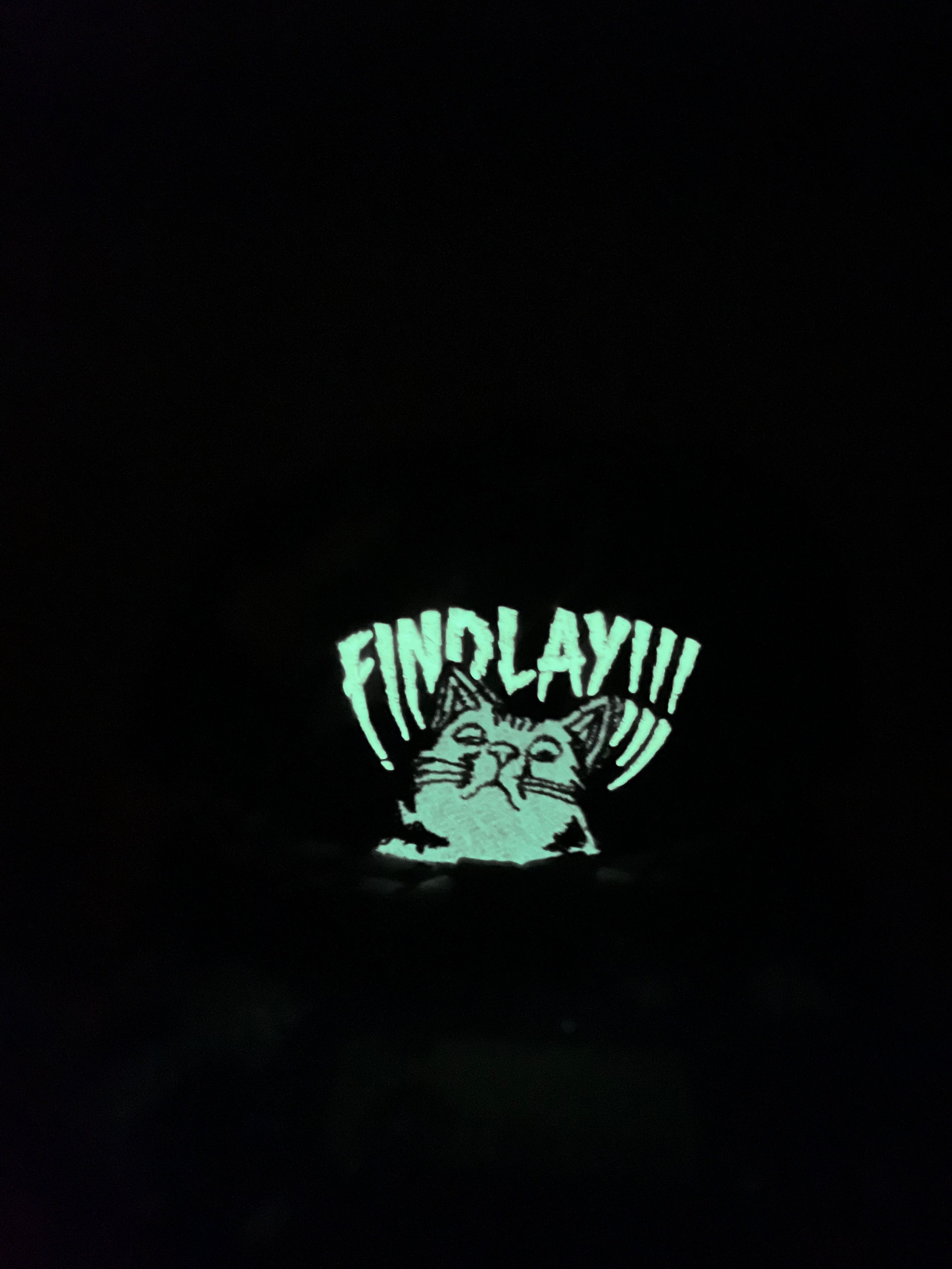 12/6 Retail Top Shelf flash drop #4 Findlay Hats