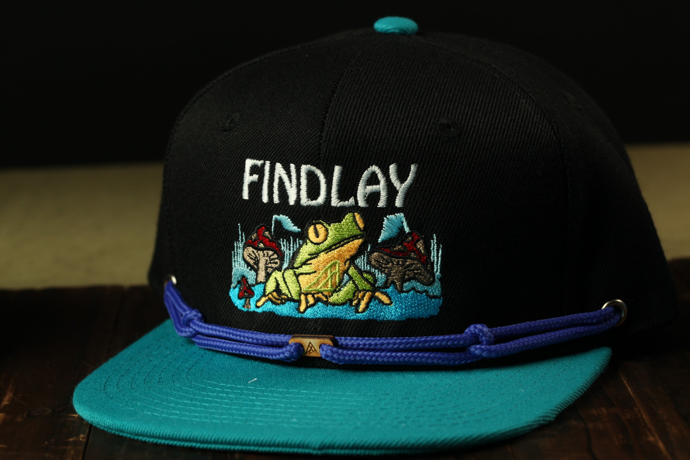 A black baseball cap with a teal brim and a blue band, featuring a colorful frog embroidered on the front.