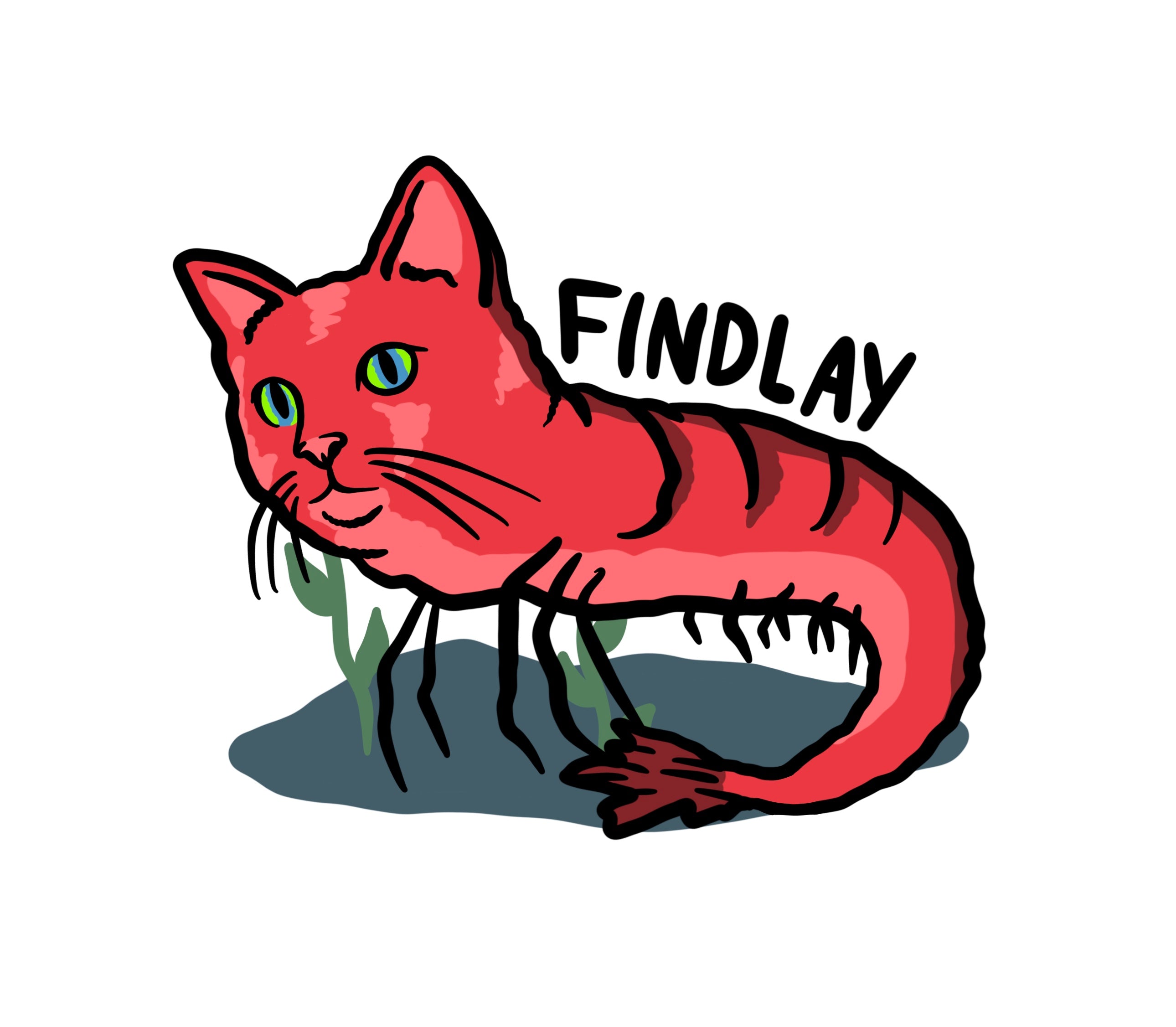 a red cat with the words friday written on it