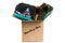 Mystery Box - 3 Item Hats Findlay Hats
