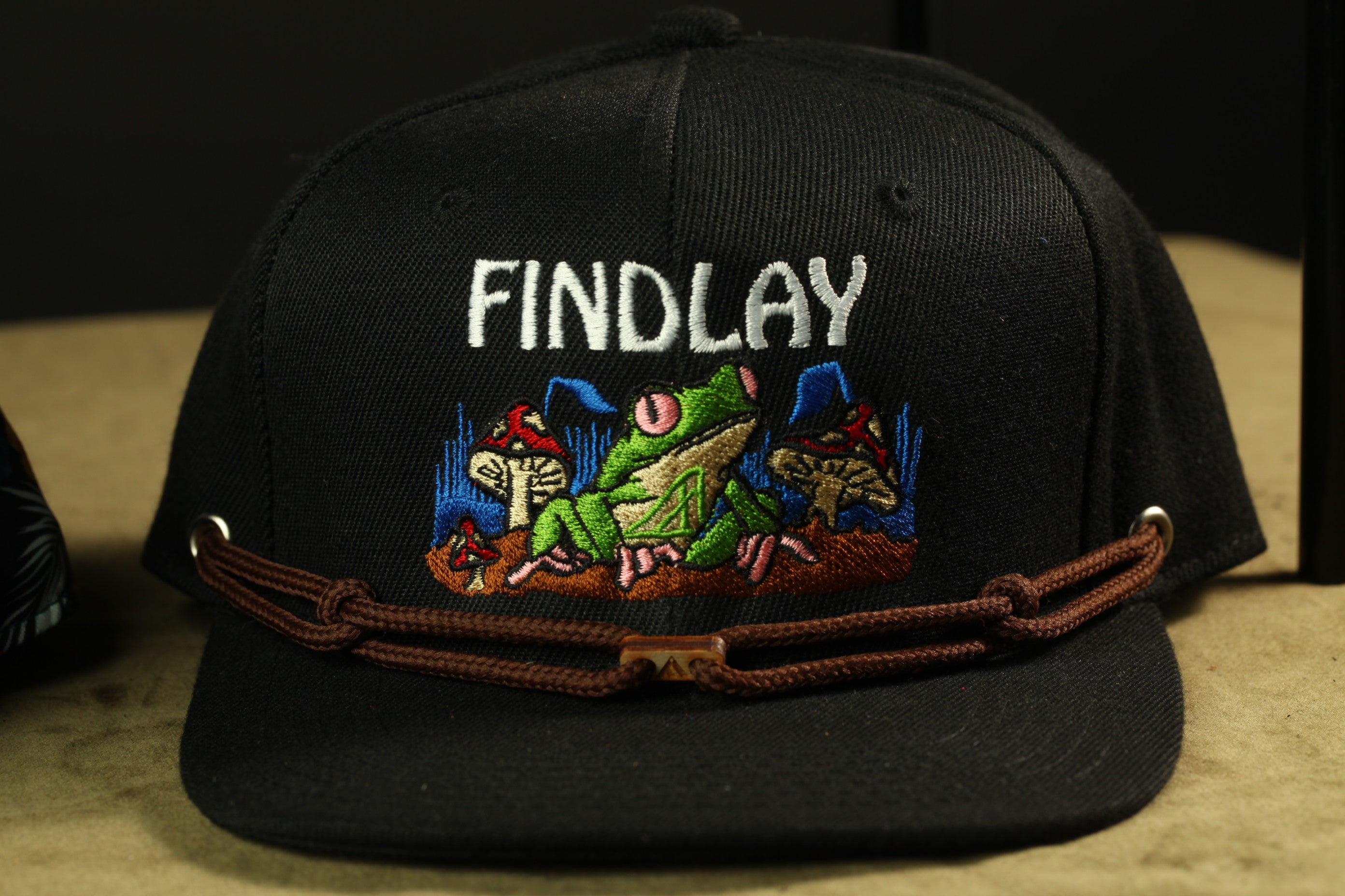 A black baseball cap with a brown leather strap and a colorful frog embroidered on it.