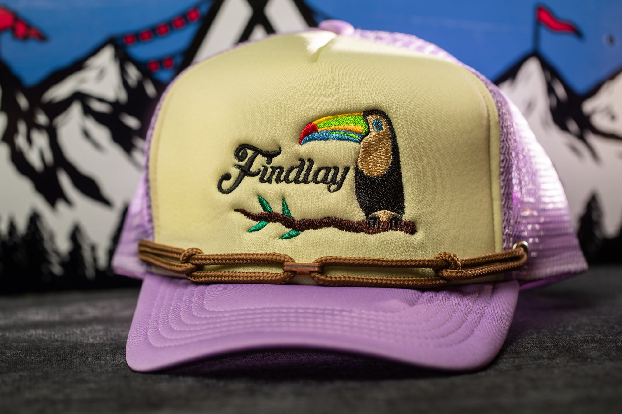 A purple baseball cap with a colorful bird embroidered on it, featuring the word "Findlay" on the front.