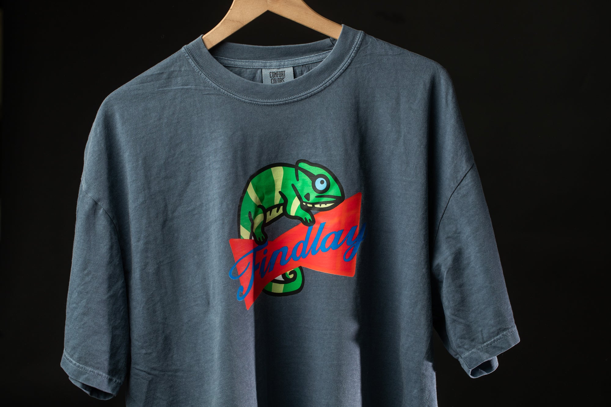 A gray t-shirt with a graphic design of a chameleon and the word "Finale" printed on it.