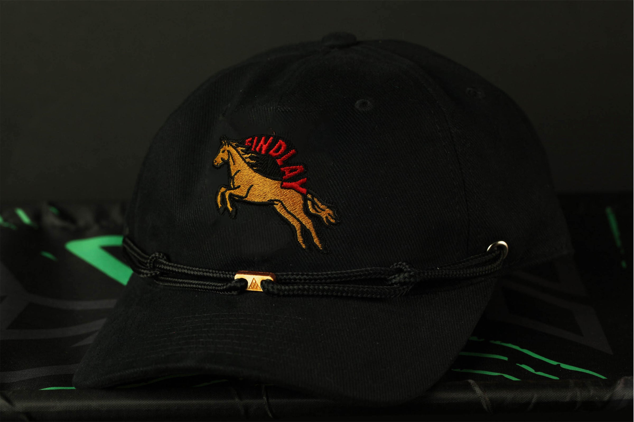 Dad Golden Pony