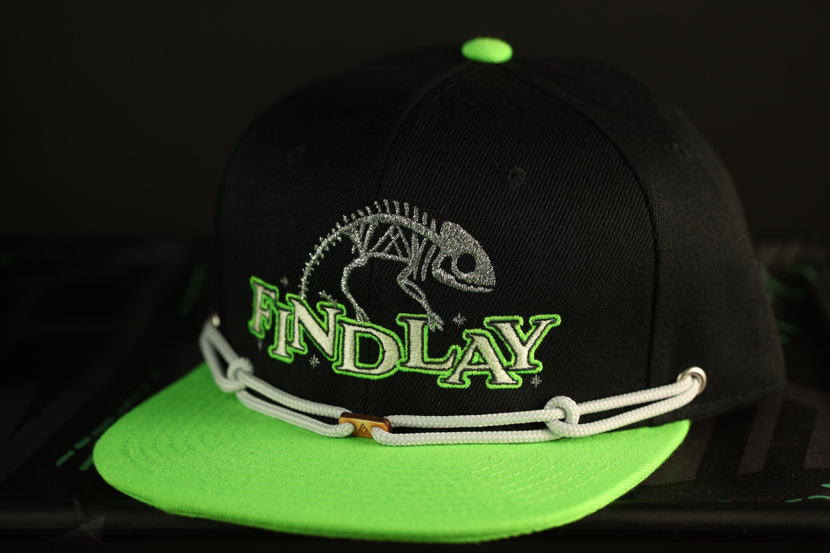 A black baseball cap with a green brim and a white string around the brim. The cap has a graphic of a chameleon on it, and the word "FINDlay" is printed in green letters.