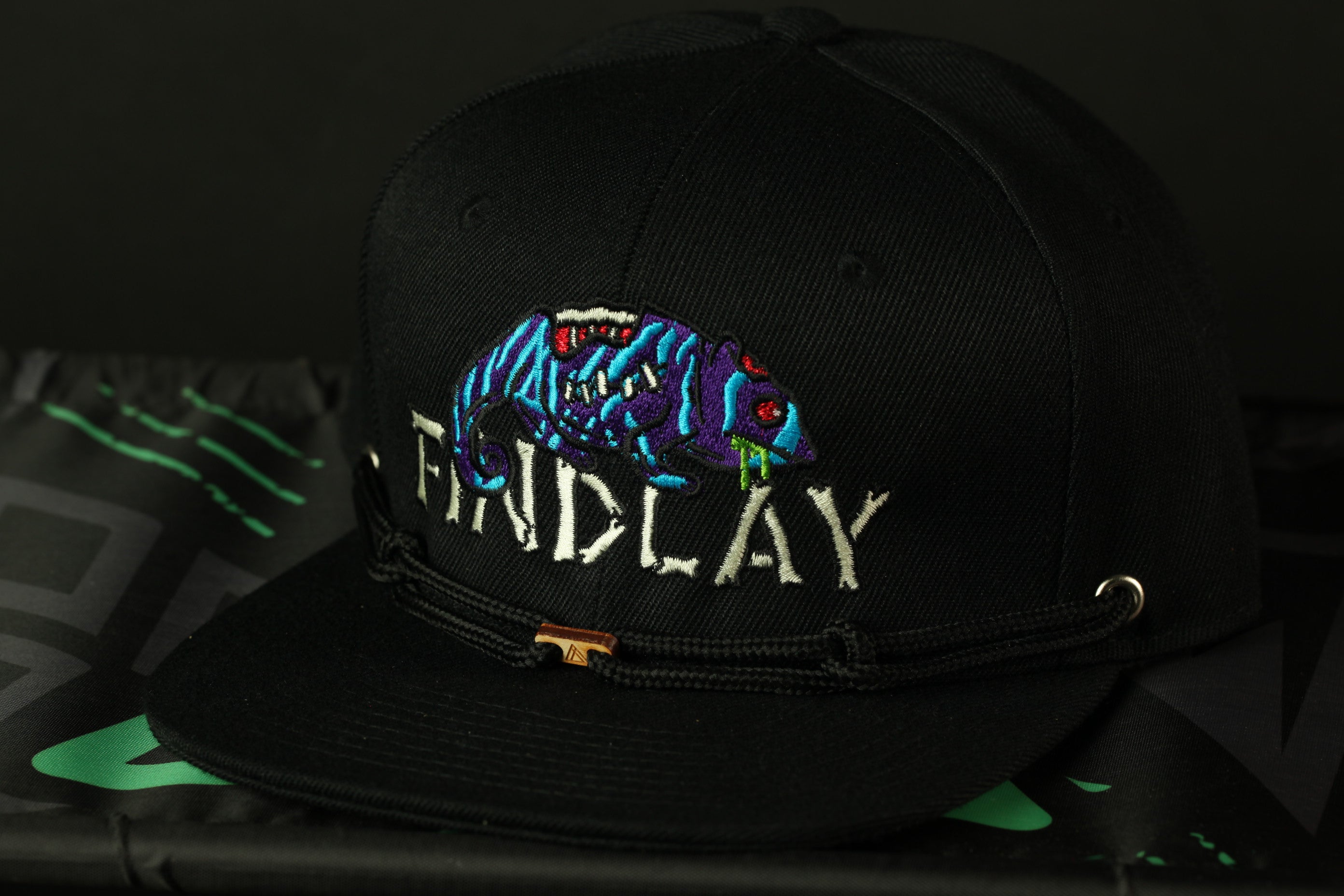 A black baseball cap with a colorful, cartoonish design on it, featuring a chameleon-like creature.