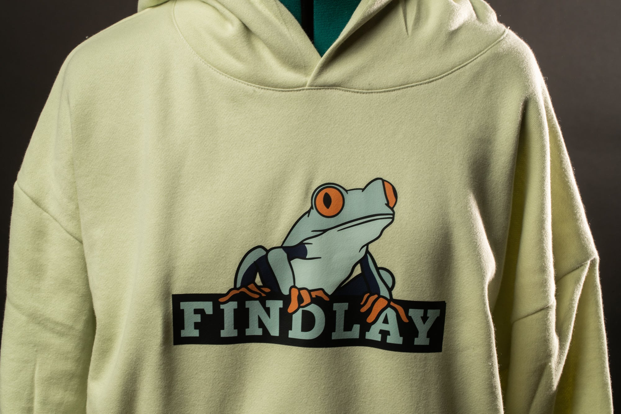 A person wearing a yellow hoodie with a graphic of a frog and the word "FINDLAY" printed on it.