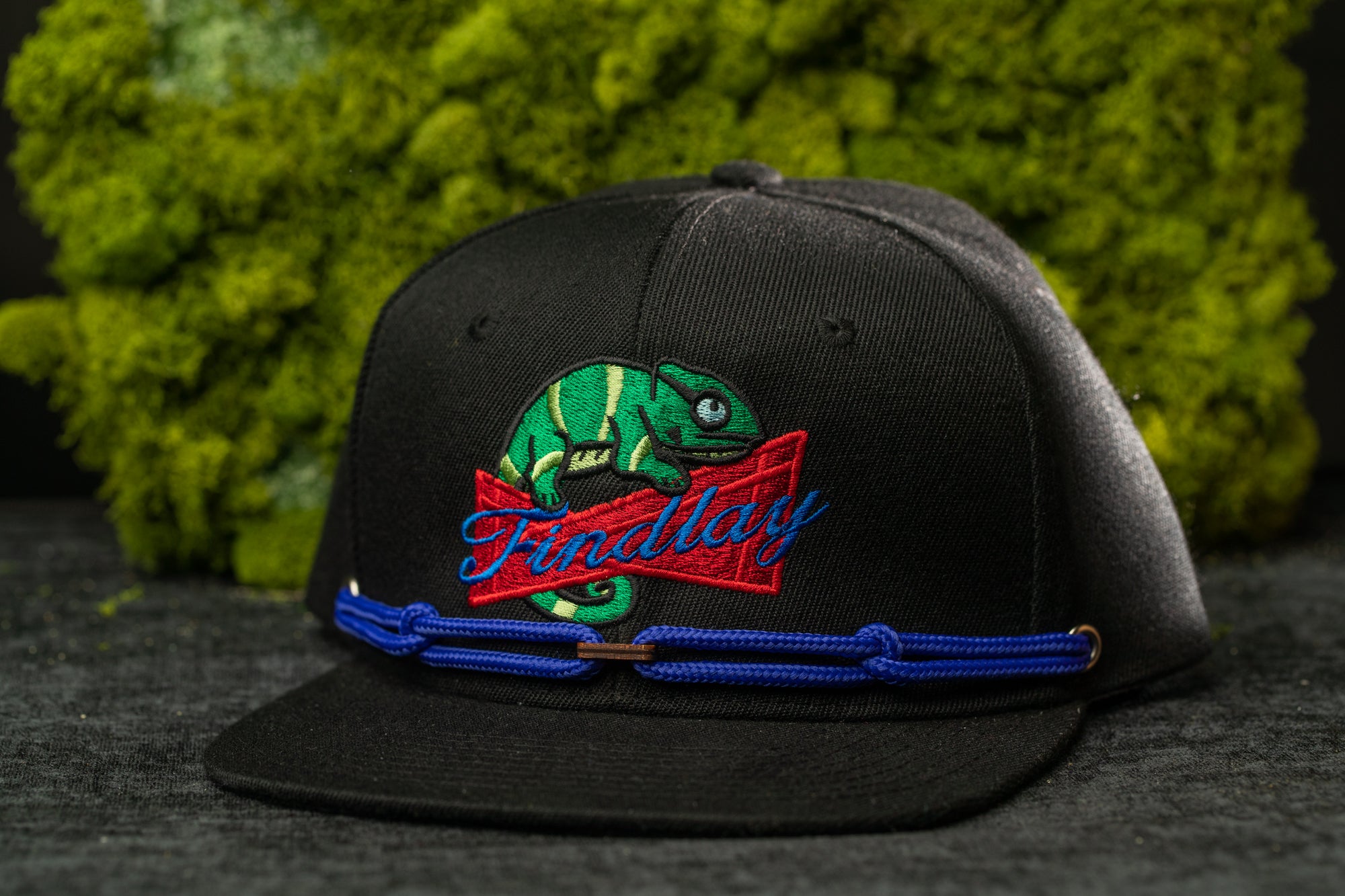 A black baseball cap with a colorful chameleon design and the word "Findlay" printed on it, placed on a dark surface against a background of green moss.