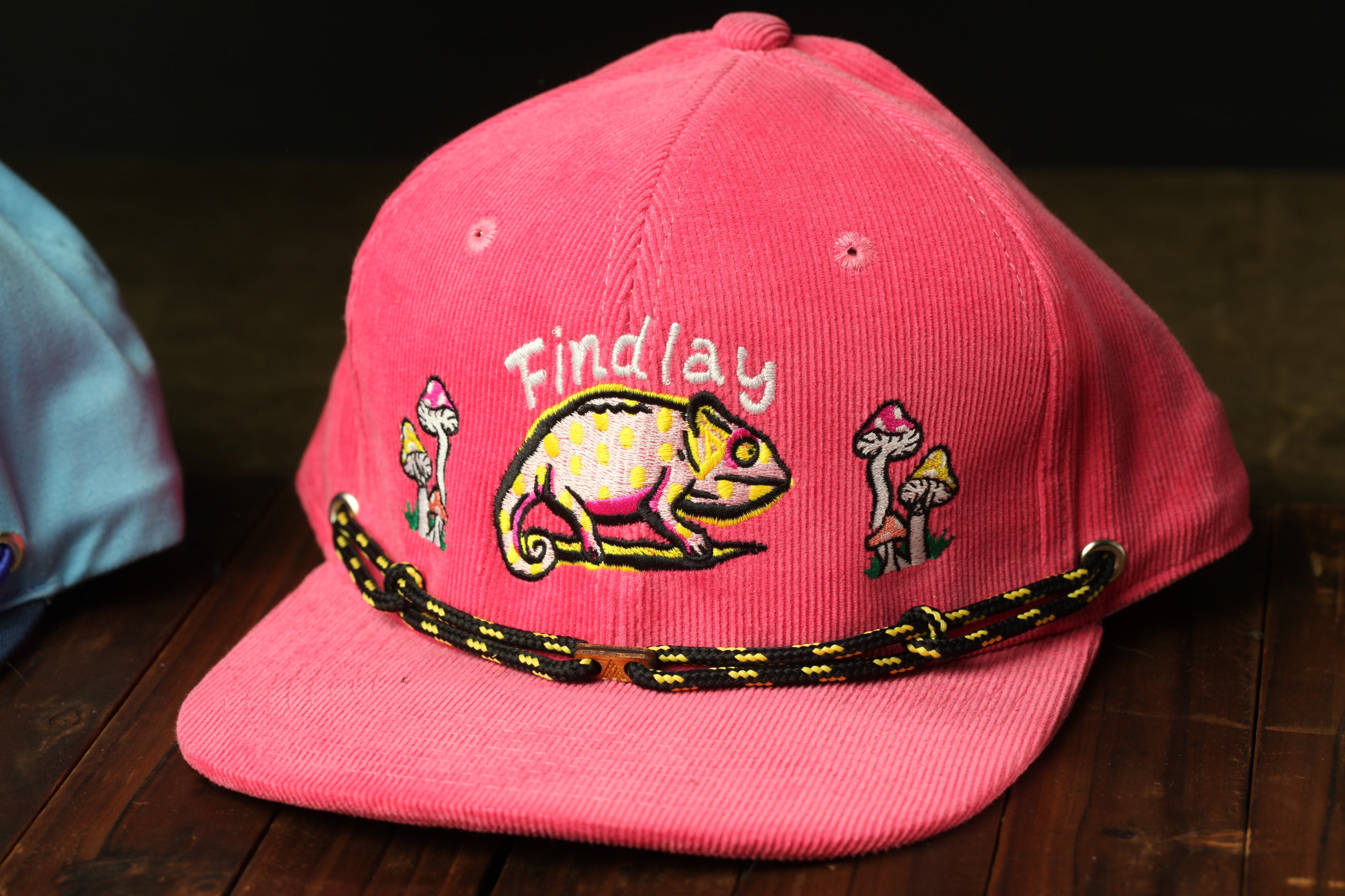 A pink baseball cap with a chameleon design and the word "Findlay" printed on it.