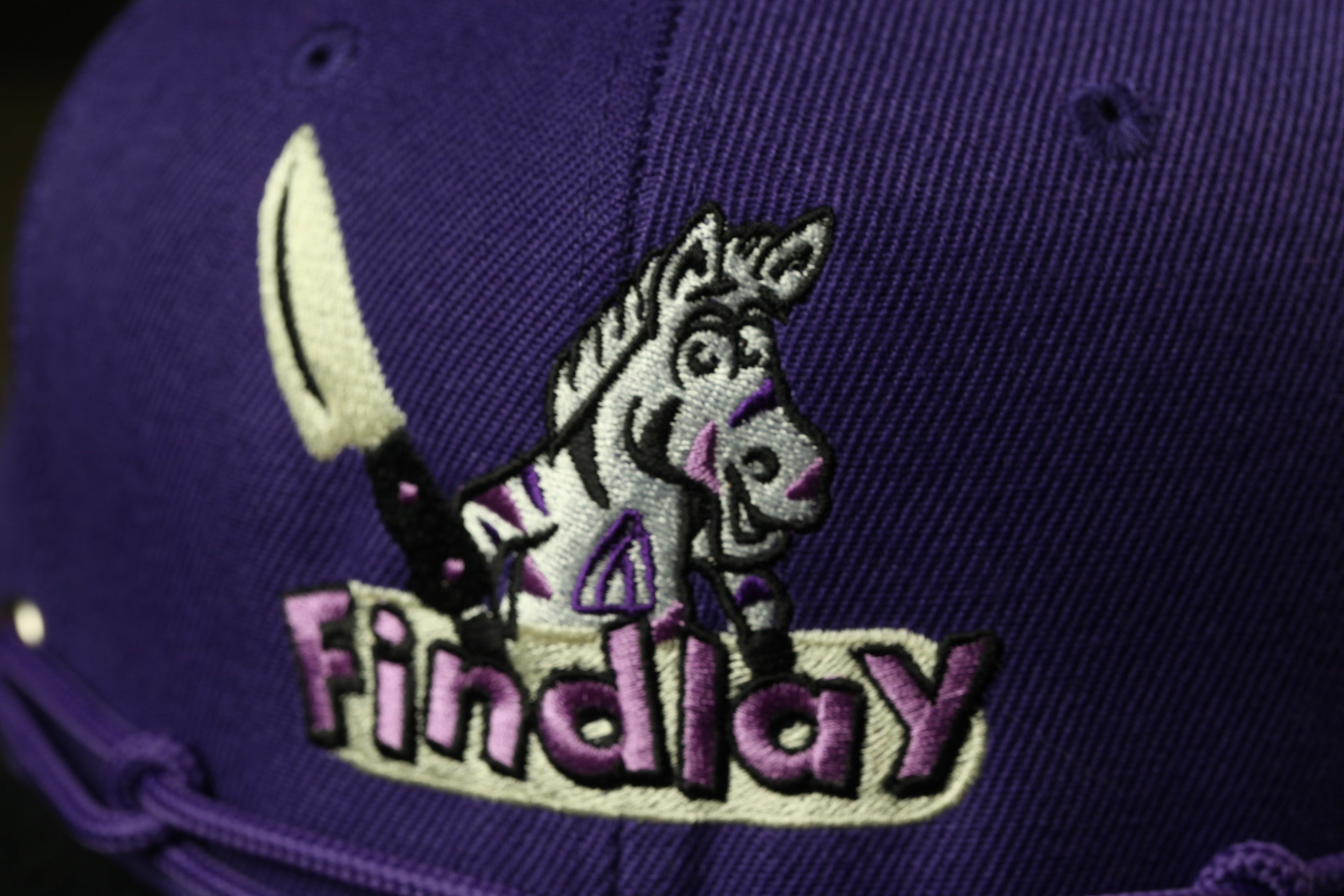 A close-up view of a purple baseball cap with a cartoon zebra and the word "Findlay" embroidered on it.
