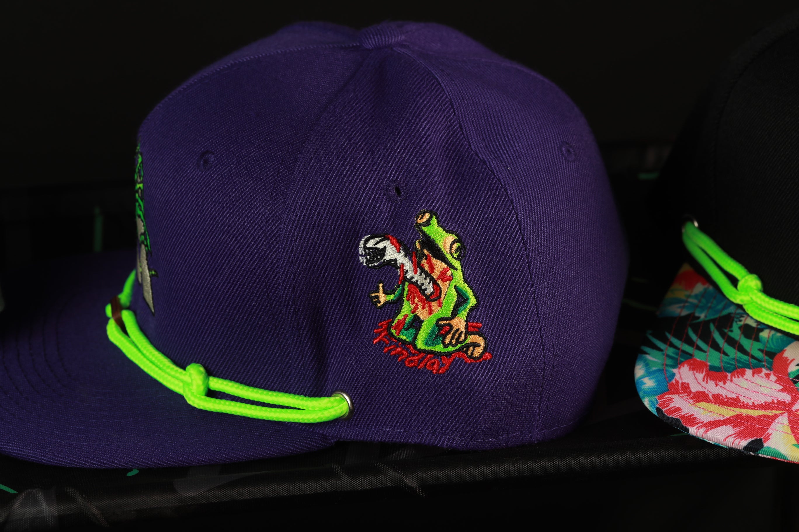 A purple baseball cap with a green string and a colorful, cartoonish frog embroidered on the front.