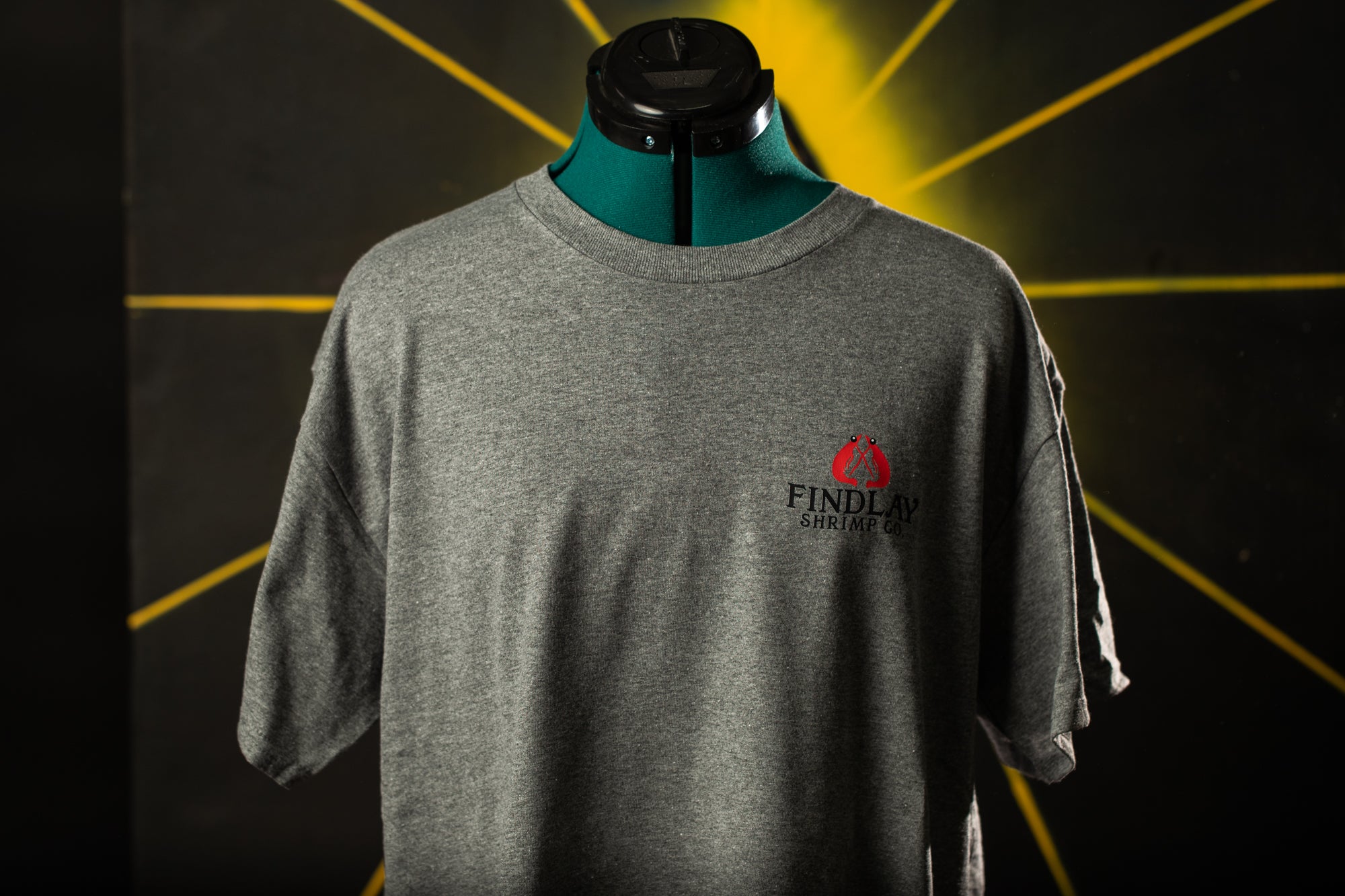 a t - shirt with the word findlay on it
