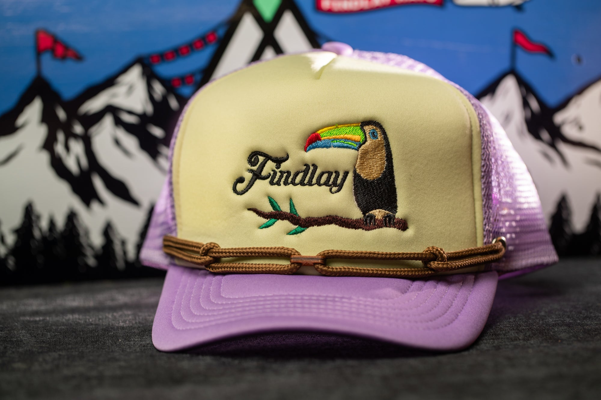 A purple baseball cap with a bird embroidered on it, featuring the word "Findlay" on the front.