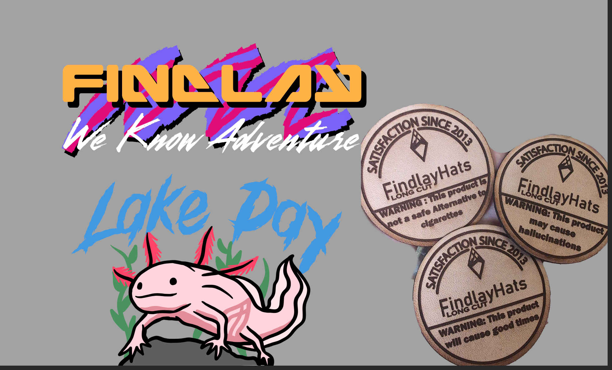 The image is a collage featuring a pink axolotl (ladybug) and three circular stickers with text and logos related to a product called 'Findlay Hats'.