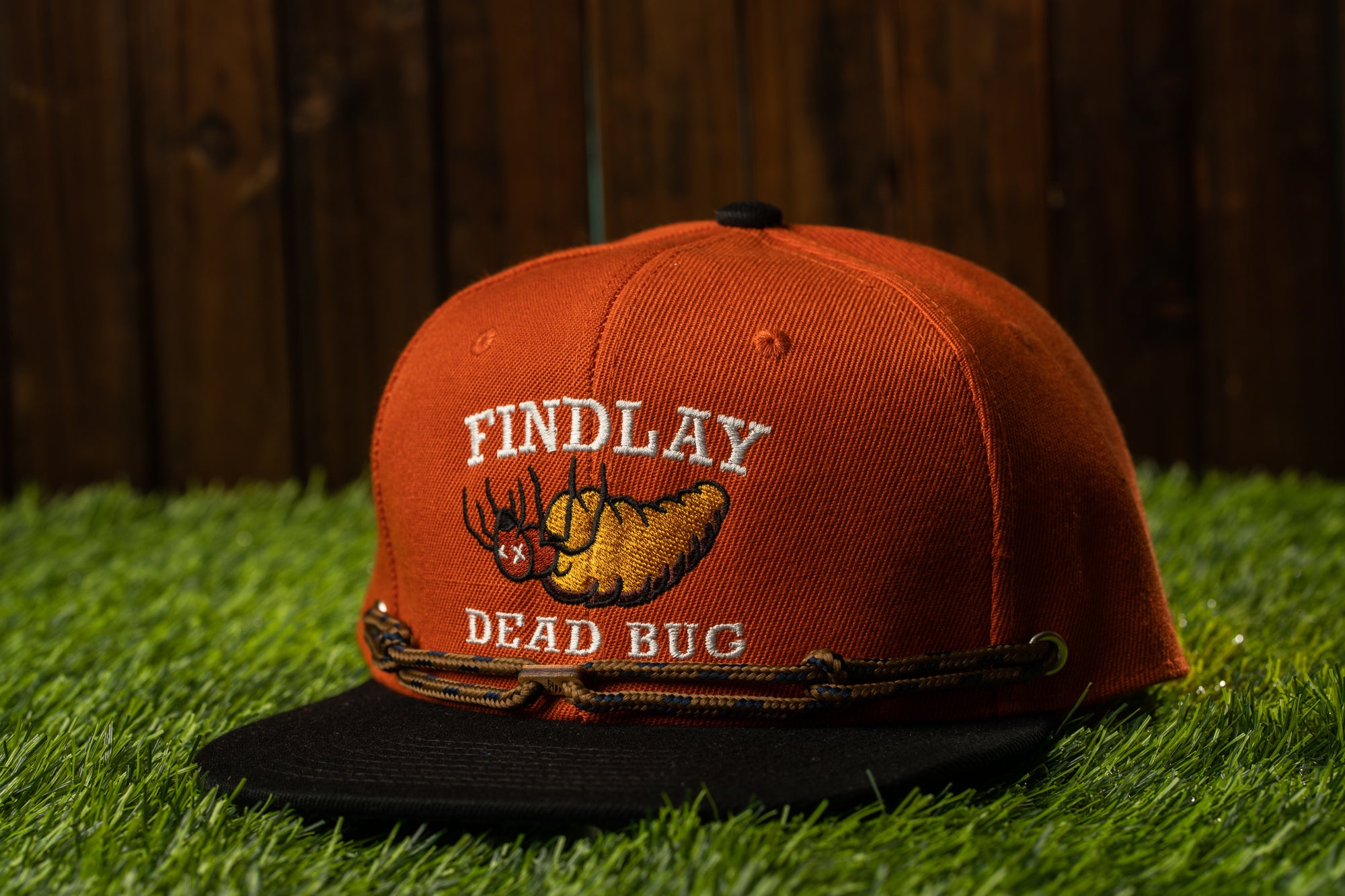 Late Dead Bugs (1 of 36)