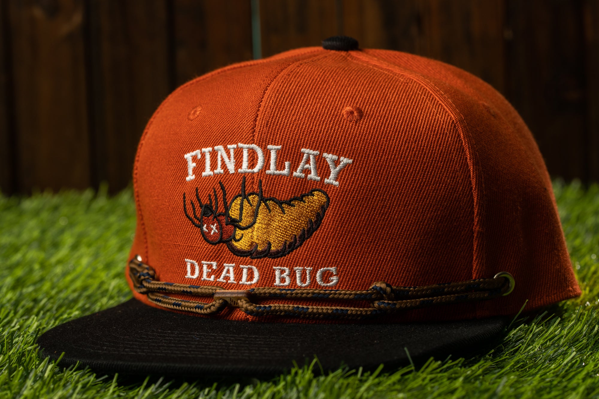 Late Dead Bugs (1 of 36)