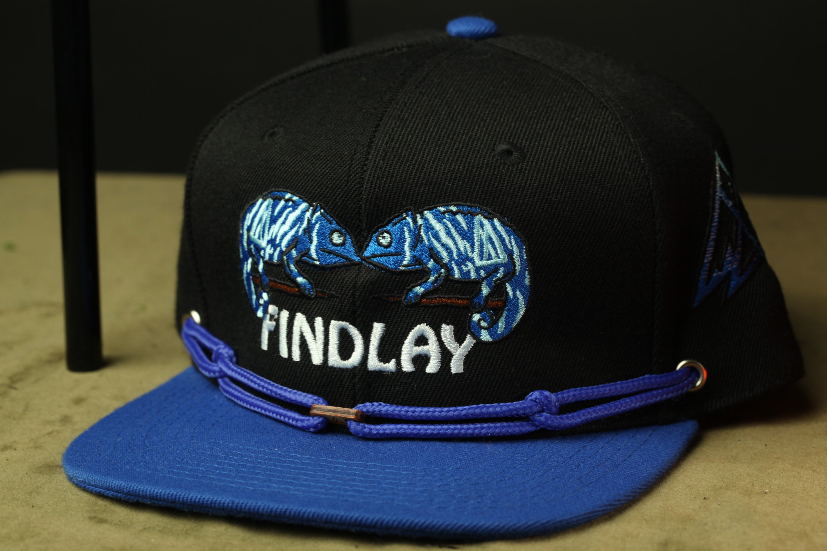 A black baseball cap with a blue brim and a graphic of two chameleons on the front.