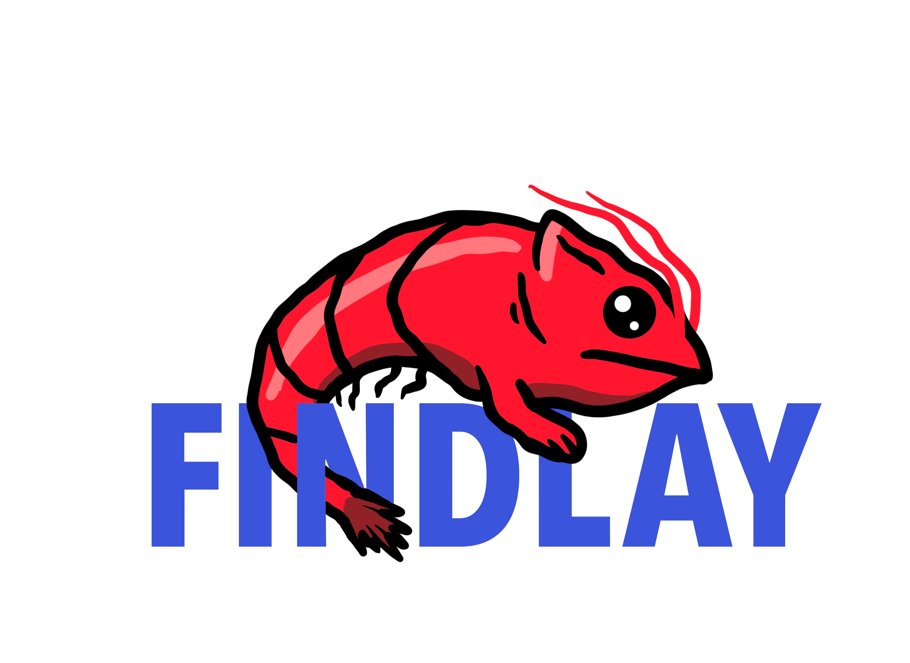 a red fish with the word findlay on it