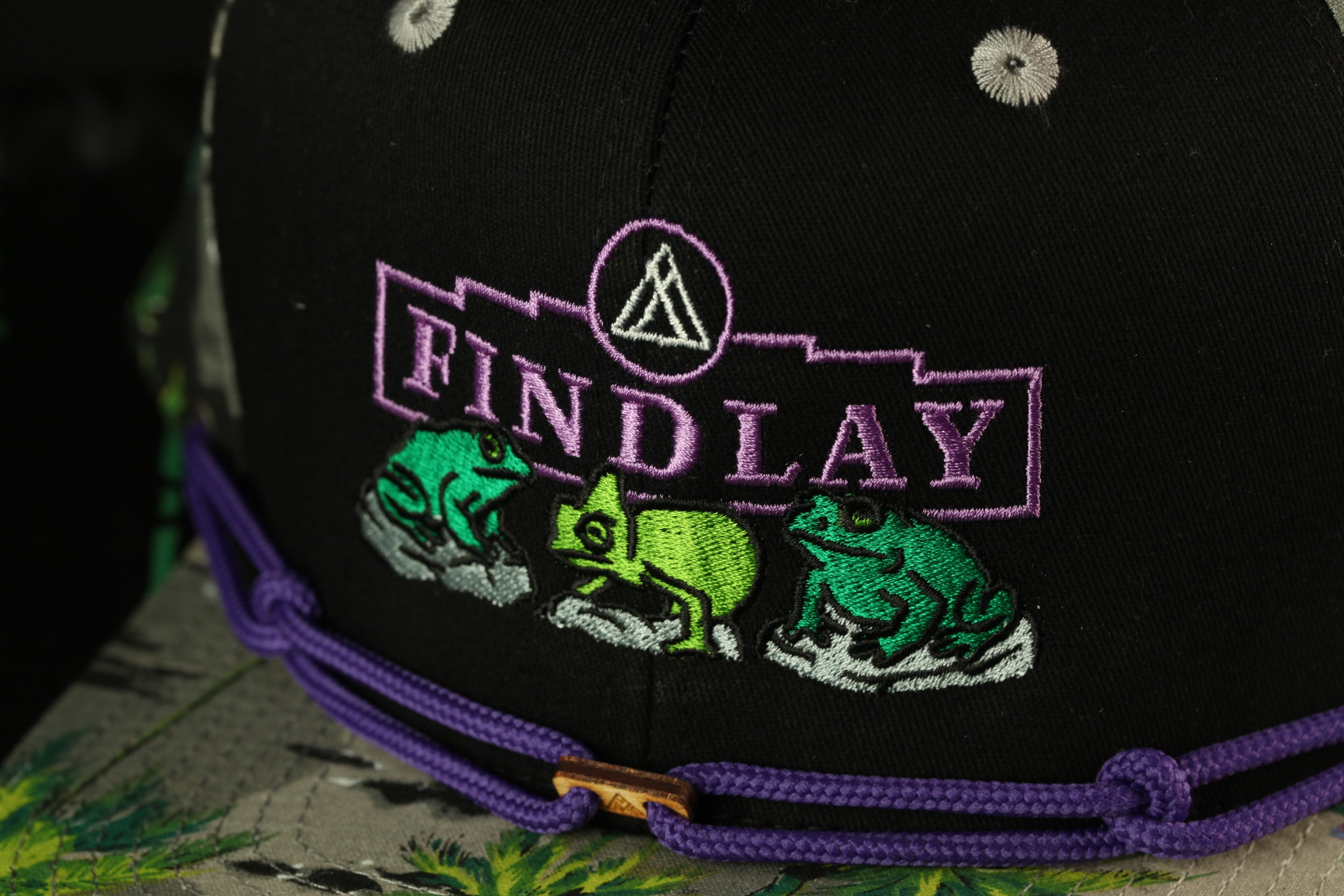 A close-up view of a black baseball cap with purple and green embroidered designs, including a frog and a triangle symbol.