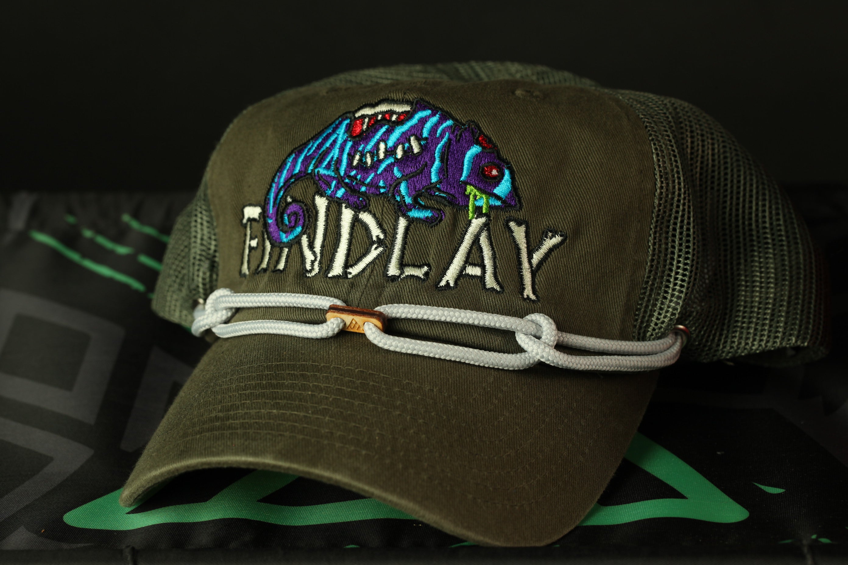 A green baseball cap with a colorful chameleon design and the word "ENDLAY" embroidered on it.