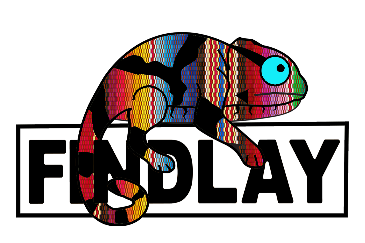 A colorful, abstract chameleon-like creature with a blue eye and a patterned body is depicted in the image.