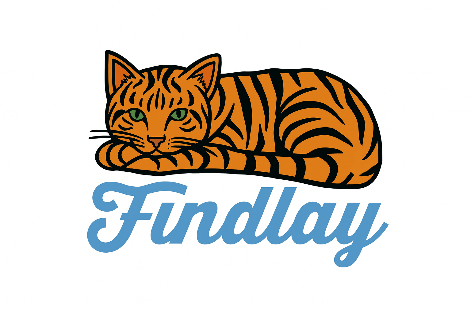 A cartoon illustration of a tiger cat with the name "Findlay" written below it.