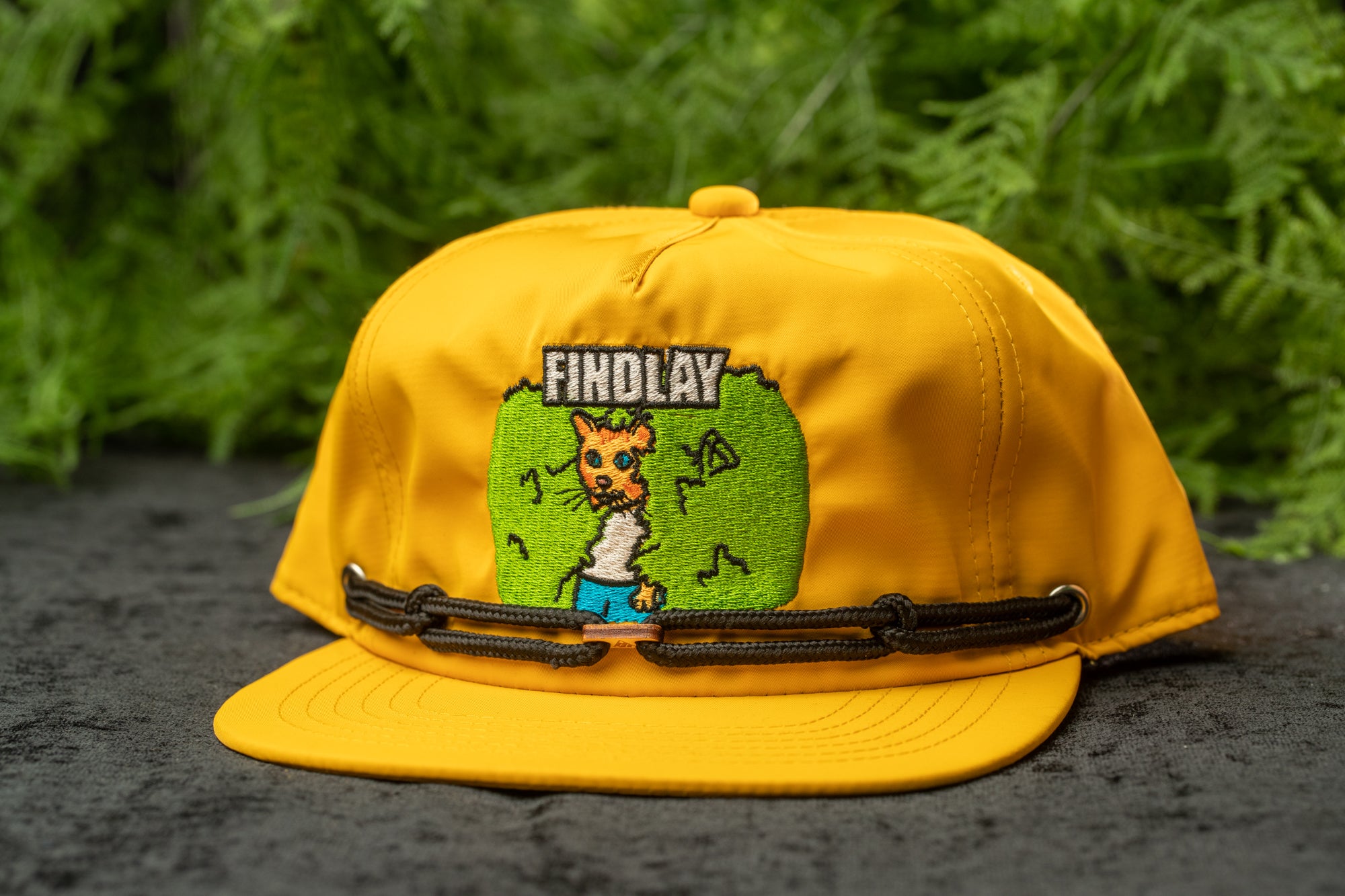 A yellow baseball cap with a cartoon cat design and the word "FINDLAY" printed on it, placed on a surface with green foliage in the background.