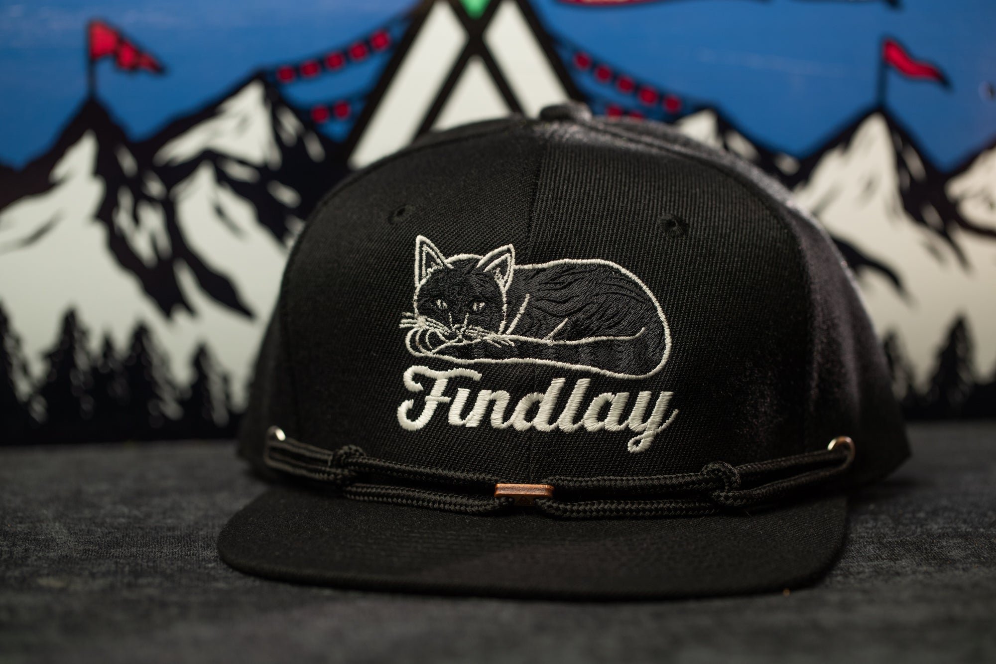 A black baseball cap with a cat embroidered on it, sitting on a surface with a mountain landscape in the background.