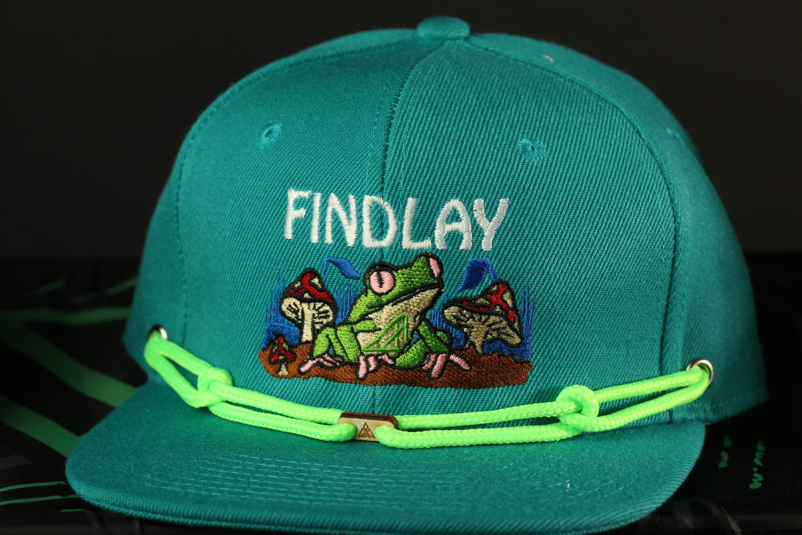 A turquoise baseball cap with a frog and mushroom design, and the word "FINDLAY" printed on it.